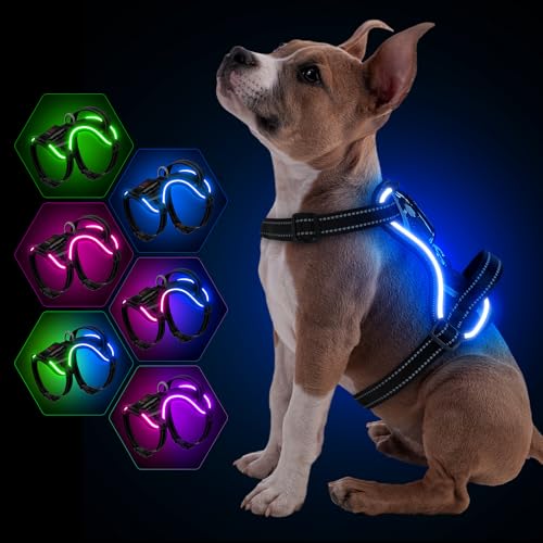 YFbrite Imbracatura per cani con luce a LED, ricaricabile tramite USB, pettorina riflettente per cani, pettorina per cani con luci per cani, comoda, regolabile, traspirante, lampeggiante (blu, M)