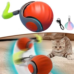 Speedy Tail 2.0,Speedy Tail Cat Toy,Speedy Tail 2.0 Cat Toy,Speedytail Cat Toy,Interactive Cat Toys Ball for Indoor Cats Fast Rolling On Carpet,Rechargeable (Orange, D=50mm)