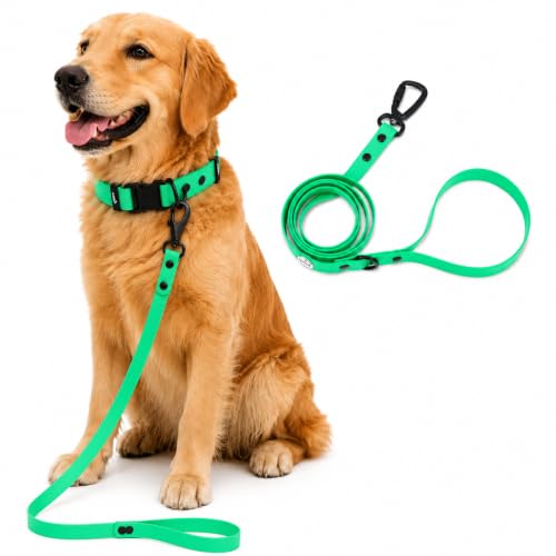 Image of Adil's Biothane Dog Leash - Waterproof Leashes for Dogs, Metal Hook, Adjustable 5ft Length Suitable for Dogs & Puppies, Ideal for Walking, Running & Training (Forest Green)