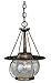 Vaxcel P0137 Jamestown 1 Light Pendant, Parisian Bronze Finish