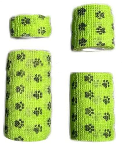  L ybg  e[sO eʃZbg of[W t 킢 ybg   h oe[W e ʋC Xgoh  K[[e[v ȔS e[v Lk