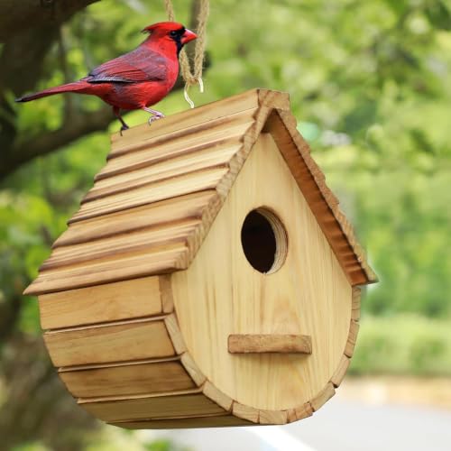 Casa de madera Swallow Cottage decorativa y ventilada para exteriores 7