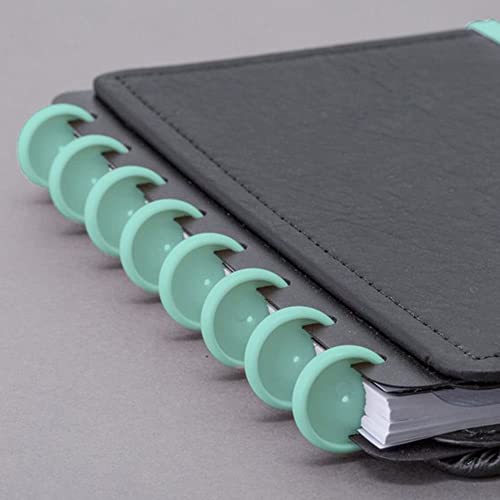 Discos Para Caderno Inteligente, CI231033, Médio, 23 mm, Verde Pantanal, Com 12 Unidades