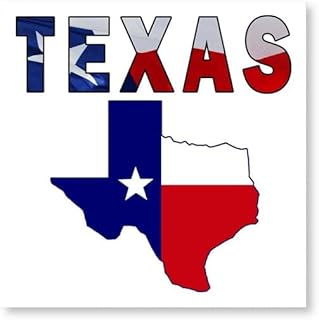 CafePress Flag Map with Texas Photo Wall Tile, Matte Finish, 8