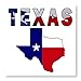 CafePress Flag Map with Texas Photo Wall Tile, Matte Finish, 8