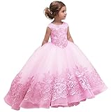 Tulle Embroidered Flower Girls Dress Princess Sparkle Birthday Party Special Ocasion Dresses for Kid