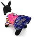 Ranphy Traditional Embroidered Korean Small Dog/Cat Hanbok Chihuahua Skirts Pet Wedding Dress Costumes Yorkie Clothes Silk Girl S