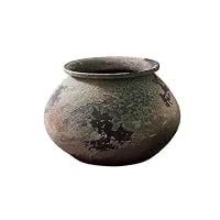 Amazon.co.jp: WANGHAI-666 植木鉢 レトロ 粗い 陶器 花器 景徳鎮 中国