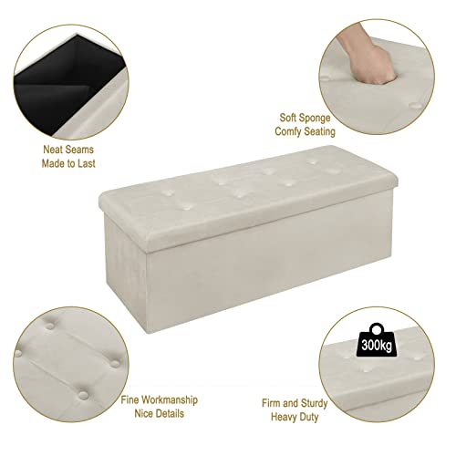 WOLTU Poggiapiedi Cassapanca Contenitore Scarpiera...