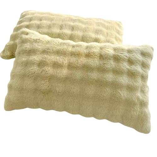 Jo[  t  ӂӂ tl  e ӂƂ 2Zbg 48cm×75cm  s[P[X 킢 () [sAi]