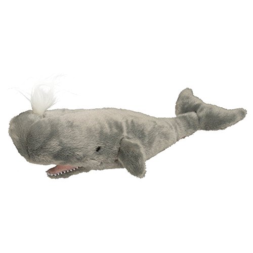 Douglas Splash Sperm Whale