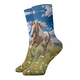 Calzini lunghi e caldi cavalli sulla prateria - Calzini alla moda in cotone ispessito, caldi, leggeri e resistenti, bianco, taglia unica