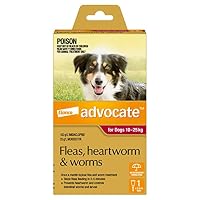 Advocate Dog, Monthly Spot-On Protection from Fleas, Heartworm and Worms, Single Pack Flea Treatment for Large Dogs 10-25 kg, 1 Pack