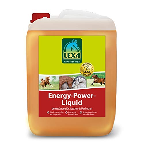 Energy-Power-Liquid 2,5 l Kanister