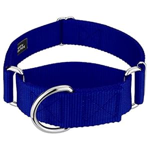 Country Brook Petz – HossFit Jr Wide Martingale Dog Collar – Training Collar with No Buckle – Service Dog Collar for All Pups – Vibrant, Colorful Collection (Royal Blue, Medium)