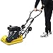 2.5HP Plate Compactor, 79.7CC Gas Engine, 8200N Vibratory Compaction Tamper, 19.3 x 12.6
