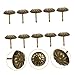 SEWACC Set of 100 Lightweight Chrysanthemum Nails Upholstery Tacks Decorative Nails for Furniture DIY Decorative Tools