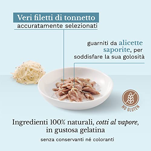 Schesir, Nassfutter für Erwachsene Katzen, Thunfisch mit weißem Fisch, Filets und 100% natürliches Gelee, 6 Dosen x 85 g