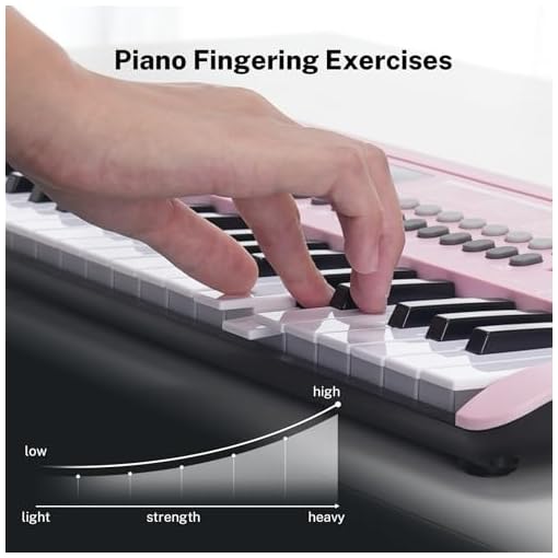 POGOLAB Clavier Piano Numérique 61 Touches Avec Pupitre - 255 Rythmes, Affichage LED, Adaptateur 9V, Autocollants Notes Pour Débutants
