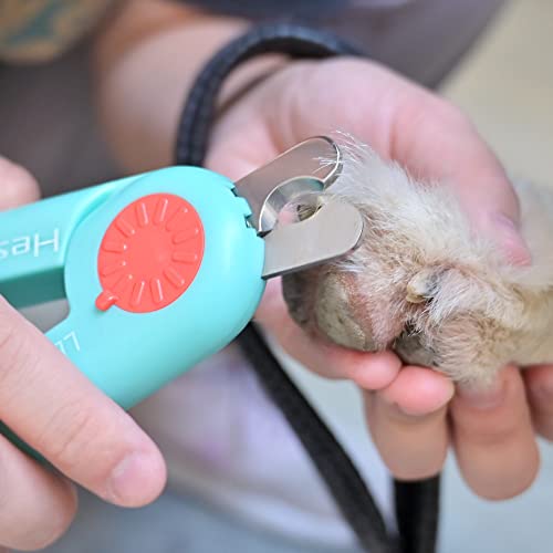 Hesiry Cat Nail Clippers & Dog Claw Trimmer With Anti-Overclipping Led Light & Grooming Kit With Safety Guard, Can Be Used Without Good Eyesight #TOP1