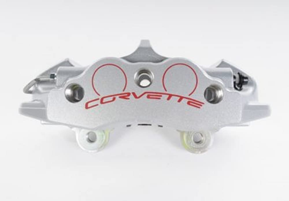 Amazon.com: GM Genuine Parts 172-2569 Silver Rear Driver Side Disc 