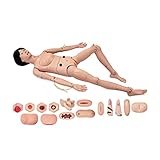 Photo Gallery fhslkxim manichino umano dimostrativo combinato di tutte le funzioni, materiale in pvc a grandezza naturale per la formazione medica infermieristica (femmina) Photo Gallery fhslkxim manichino umano dimostrativo combinato di tutte le funzioni, materiale in pvc a grandezza naturale per la formazione medica infermieristica (femmina)