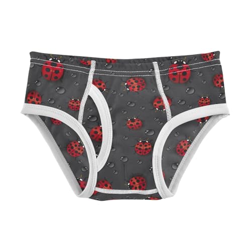 Boys' Exclusive Briefs Toddler Underwear 95% Combed Cotton Boxerbriefs 2T Ladybug and Water - Drop Pattern 31