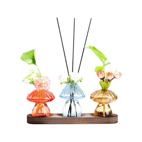 Terrarios de cristal para decoración de oficina en casa y salón 2
