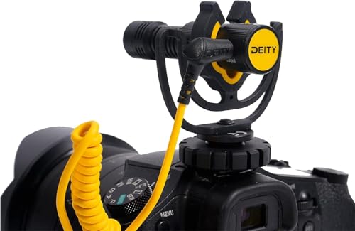 Deity V-Mic D4 Duo の商品画像 1