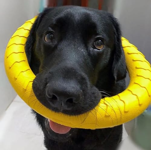 Image of Petarchi RuffFoam Puller Rings for Dogs - Soft Yet Durable Patented Foam Material | Safe on Teeth & Gums, Lightweight Fetch & Tug Toy Water-Friendly Training Ring | Large Size (28-30cm Outer Diameter)