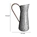 Benzara Chic Industrial Metal Galvanized Pitcher,Gray