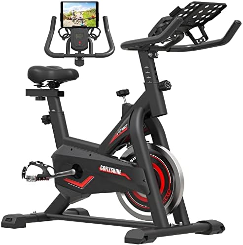 GOFLYSHINE Exercise Bikes Stationary,Exercise Bike for Home Indoor Cycling Bike for Home Cardio Gym,Workout Bike with 35 LBS Flywheel