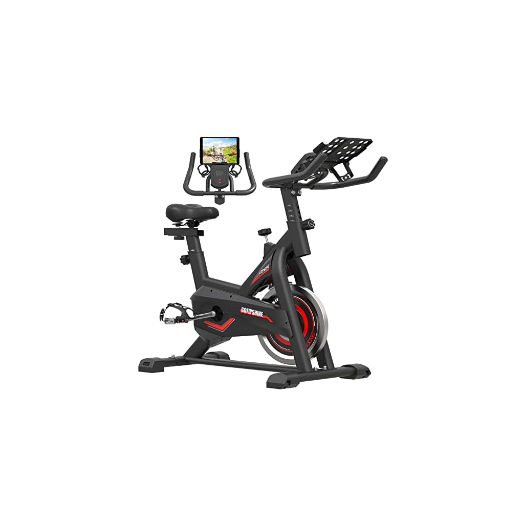 GOFLYSHINE-Exercise-Bikes-StationaryExercise-Bike-for-Home-Indoor-Cycling-Bike-for-Home-Cardio-GymWorkout-Bike-with-35-LBS-Flywheel