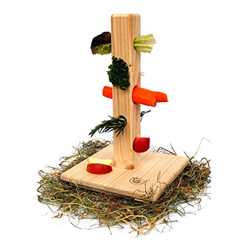 Youyole Meerschweinchen-Starter-Set Mit 13 Teilen – Versteck, Spielzeug, Bett & Futternapf Für Hamster, Kaninchen
