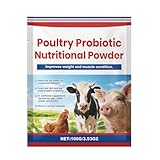 Les probiotiques favorisent la santé intestinale et la conversion alimentaire tout en étant des hormones librement pour des produits de volaille sûrs
