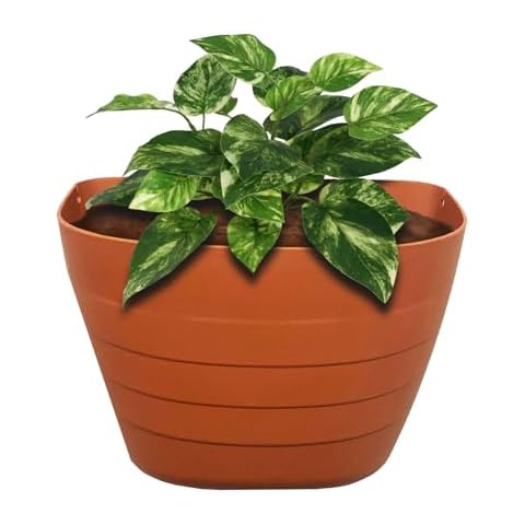 Natures Distributing Wall Planter - Terracotta Cover