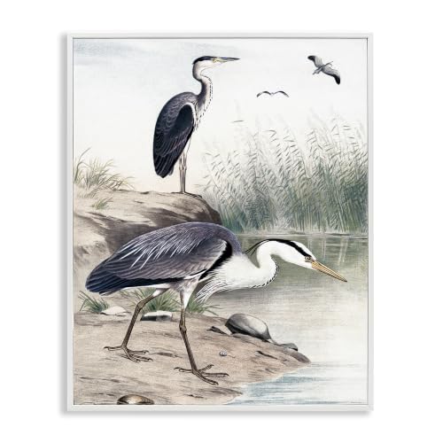 Heron Lake Shore Pampas Grass, 24 x 30 Inch Framed Giclée Print