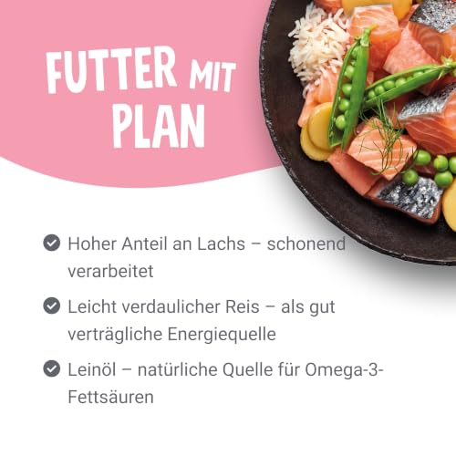 Pets Deli Classic Nassfutter für Hunde mit Lachs, 6x750g