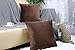 sykting Decorative Pillow Covers Solid Super Soft Short Plush Fuzzy Throw Pillow Covers for Bed Couch Chair Pack of 2 Square 18x18 inch Brown