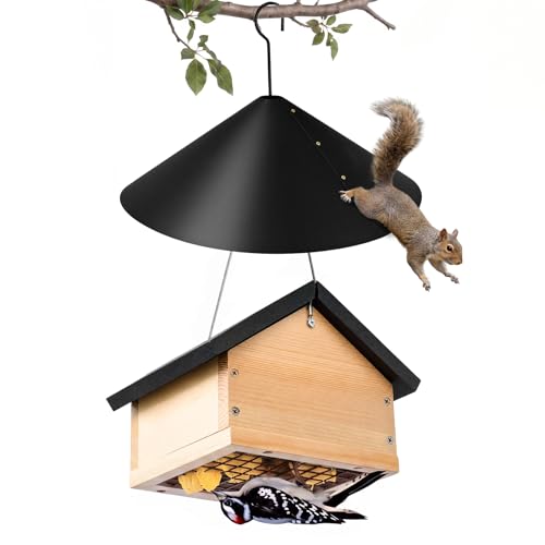 Mifoci Upside Down Suet Feeder Pine Wood with Squirrel-Proof PP Baffle Great for Attracting Woodpecker Nuthatch Titmouse Rust-Resistant Easy-Fill Outdoor Garden Bird Feeder Kit