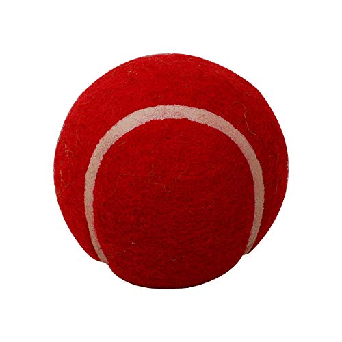 Image of GM First Lite Synthetic Tennis Cricket Balls (Red)