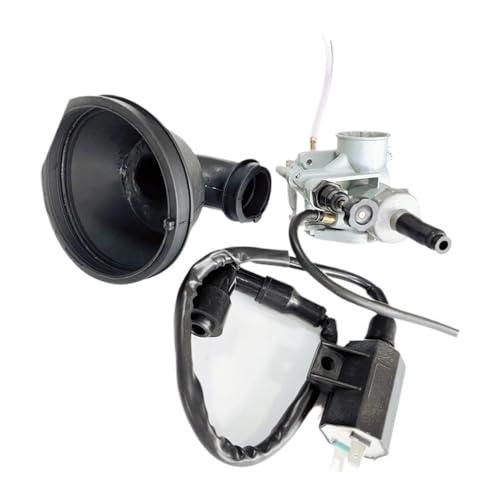 Bobine d'allumage pour quad LT80 pour rouler en toute sécurité le week-end