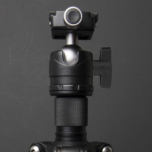 6 Stück Flügelschraube M8 x 30 mm aus Edelstahl – T-Griff Rändelschraube mit Kunststoffknauf – M8 Gewindeschraube mit Feingewinde 1,25 mm – rostfrei & griffig – für Werkbank, Möbel, Maschinenbau, DIY