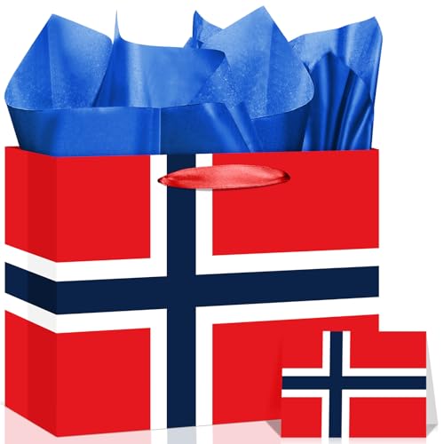 Neptniopllab Norway Flag Gift Bag with Card & Wrapping Papers,Norwegian...