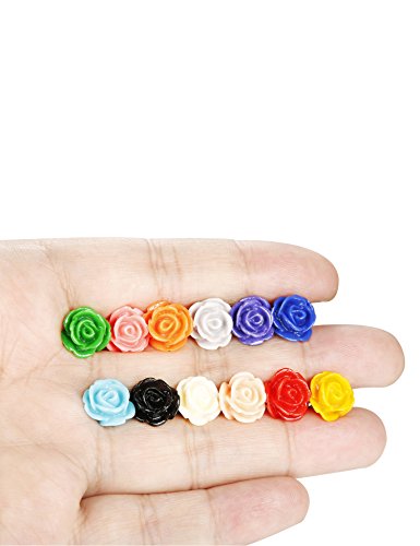 Loyallook 12 Pairs Assorted Colors Resin Rose Flower Earring Studs Set Stainless Steel Post,Nickel-Free 10Mm #TOP5