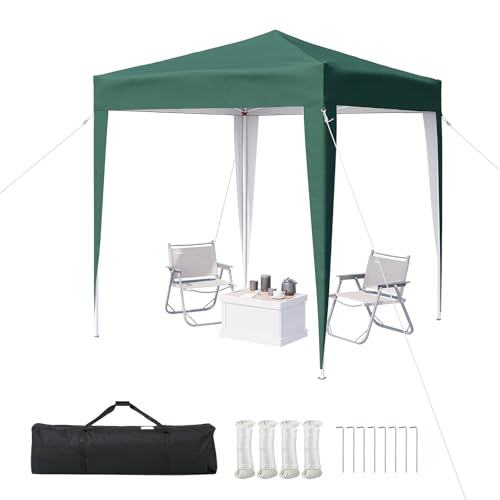Aoxun Pop Up Gazebo 2m x 2m Metal Frame Shelter Tent for Outdoor Garden Party with Carry Bag Green