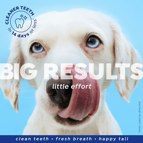 Image of Naturel Promise Fresh Dental Hip and Joint Supplement & Dental Water Additive for Dogs, 18oz Bottle