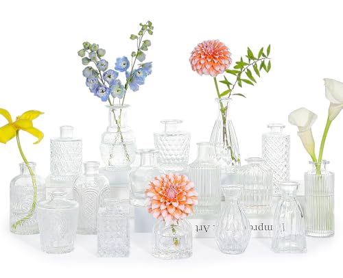 SUPMIND 16pcs Glass Bud Vase Set, Small Clear Flower Vases