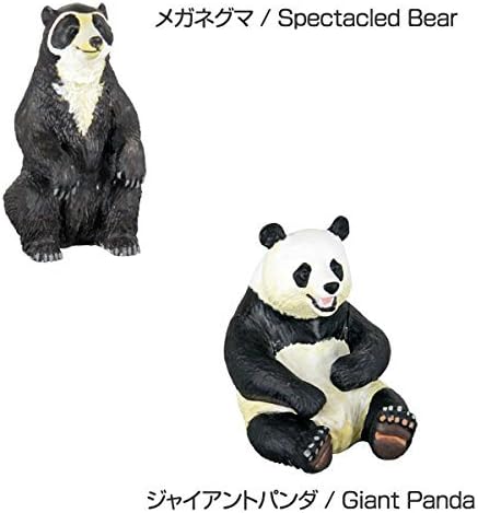 Amazon カロラータ 世界のクマ フィギュア 立体図鑑 熊 リアル フィギュアボックス 解説書付き 食品衛生法クリア 8種 フィギュア ドール 通販