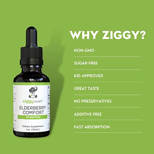 Ziggy Health Elderberry Extract - Organic Liquid Tincture, Immune Support Drops, Antioxidant Respiratory Support & Defense, Herbal Supplement Vitamins Oil, Gluten Free, Alcohol Free, 1Oz #TOP1